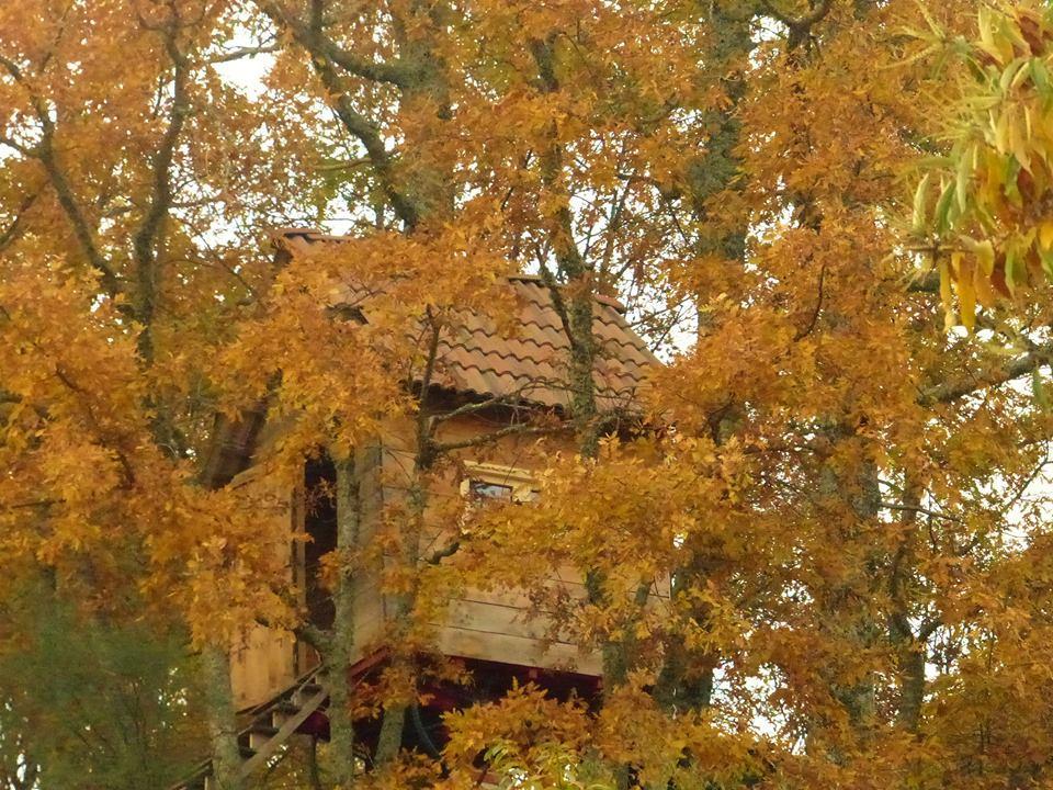 Quinta Das Colmeias Landhaus Lancao